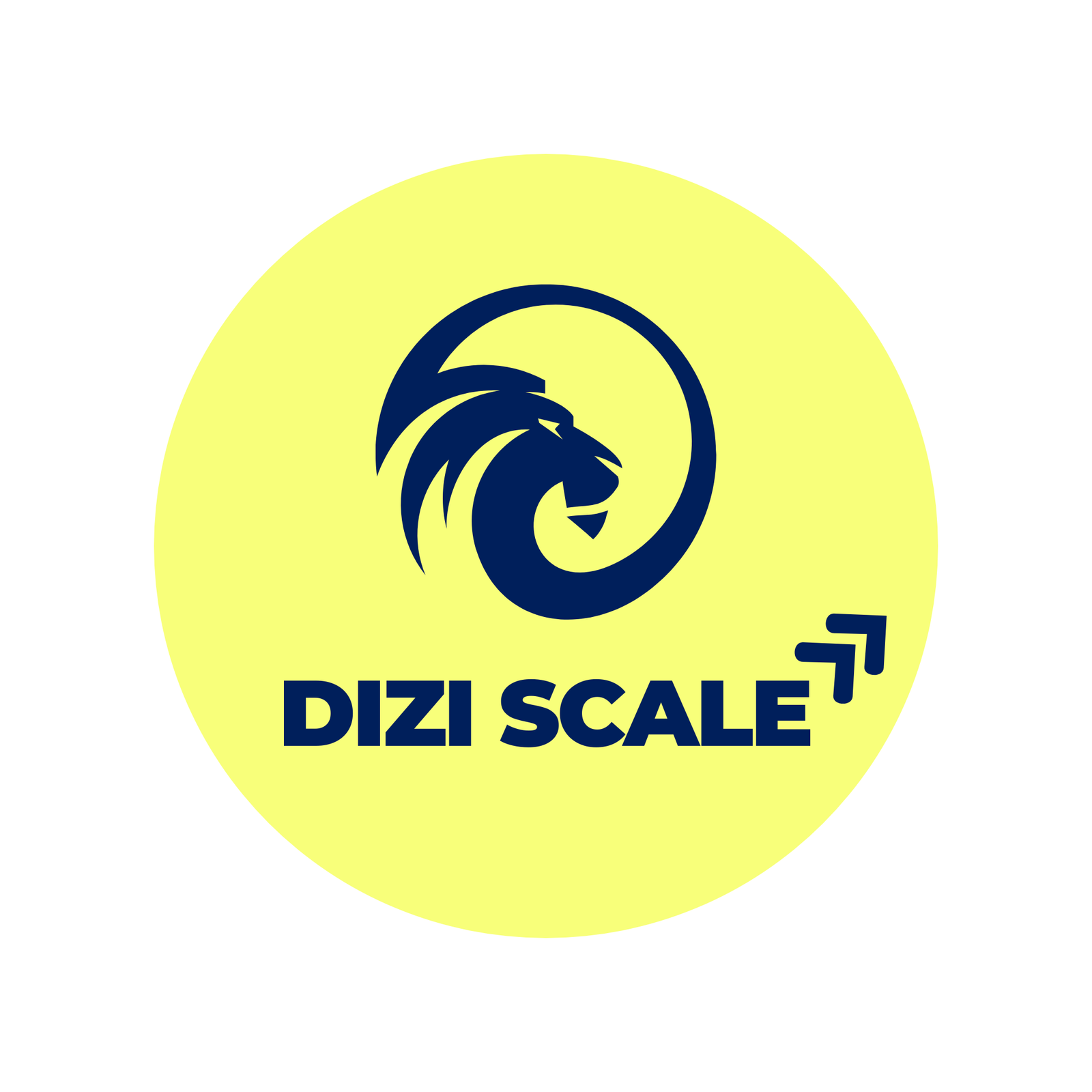 Dizi Scale site icon